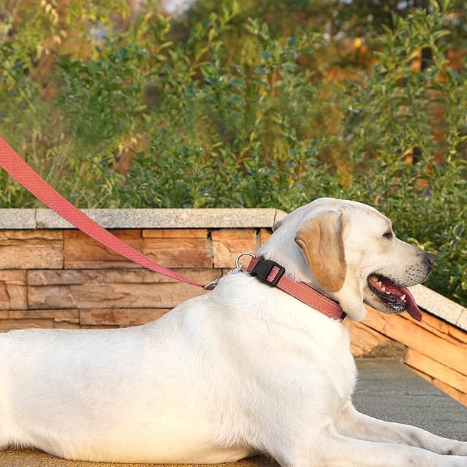 6 FT Basic Dog Leash for Small Dogs,Coral | Padded Handle,Metal D-Ring,Heavy Duty Nylon Webbing, for Walking & Training - Image 2