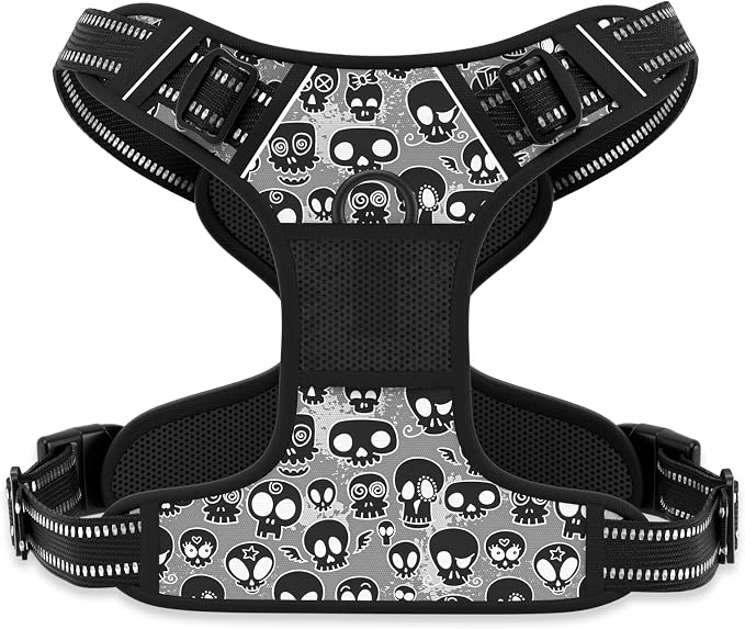 Rnivvi No Pull Dog Harness, Cute Reflective Small Sized Puppy Kitten Harness, Adjustable Soft Padded Vest for Small Dogs, Cats, Heavy Duty Pet Vest with Easy Control Handle for Walking, Black Skull by Rnivvi