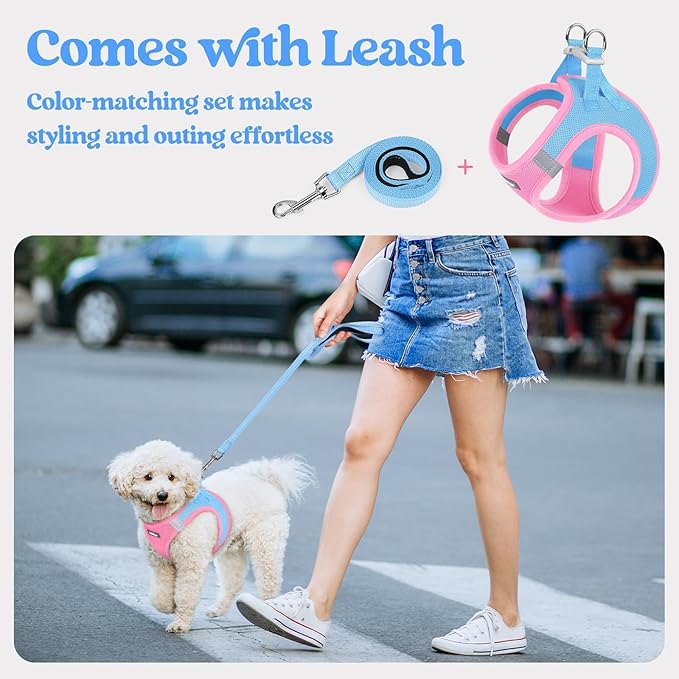 rabbitgoo Dog Harness Small Sized and Leash Set, Step-in Puppy Pet Vest | Light, Soft, Breathable Air Mesh, Easy on and Remove with Hook & Loop, Secure Reflective for Walking, Blue & Light Pink S - Image 5