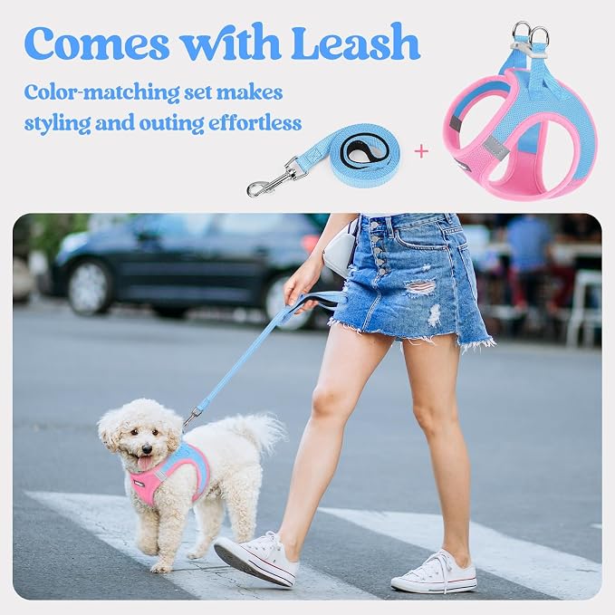 rabbitgoo Dog Harness Small Sized and Leash Set, Step-in Puppy Pet Vest | Light, Soft, Breathable Air Mesh, Easy on and Remove with Hook & Loop, Secure Reflective for Walking, Blue & Light Pink XXXS - Image 5