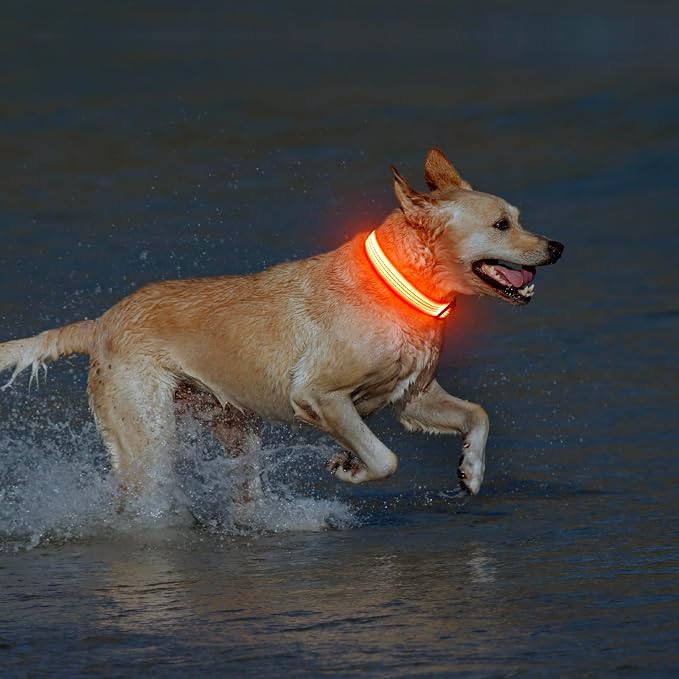 Illumifun USB Rechargeable LED Dog Collar, Light Up Dog Collar for Small Dogs, Reflective Adjustable Safety Dog Collar Lights for Night Walking (OrangeⅢ, Small) - Image 6