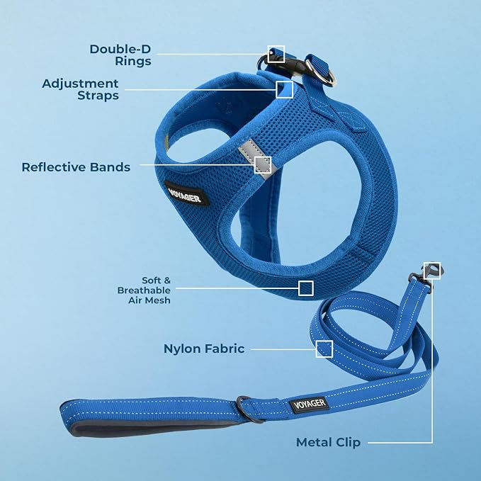 Best Pet Supplies Voyager Step-in Air All Weather Mesh Harness and Reflective Dog 5ft Leash Combo with Neoprene Handle, for Small, Medium and Large Breed Puppies - Royal Blue, XXX-Small - Image 3