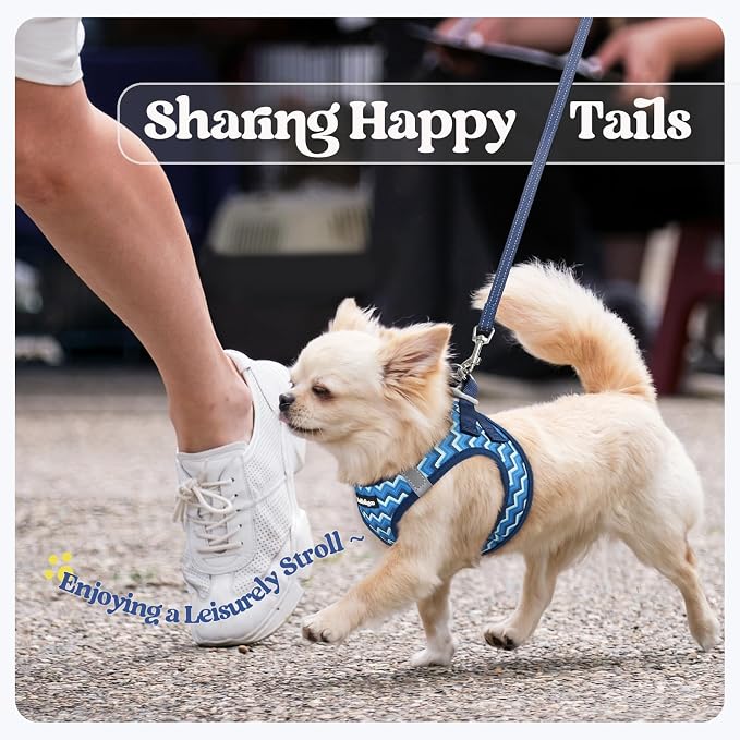 rabbitgoo Dog Harness Small Sized and Leash Set, Step-in Puppy Pet Vest | Light, Soft, Breathable Air Mesh, Easy on and Remove with Hook & Loop, Secure Reflective for Walking, Blue Zigzag XXS - Image 9