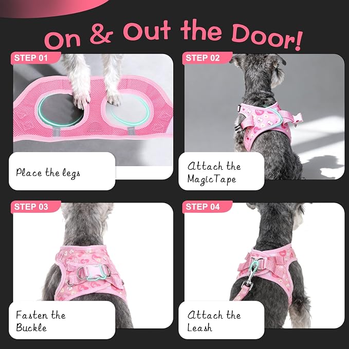 Small Dog Harness and Leash Set - Cute Puppy Harness Leash Dog Collar with AirTag Holder Silicone Case, Soft Padded Step in Pet Vest Reflective for Outdoor Walking, Heart S - Image 3