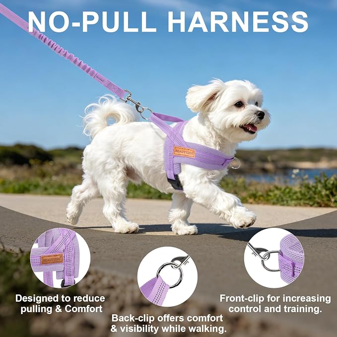 BEAUTYZOO Small Dog Harness and Leash Set, No Pull Step in Puppy Vest | Breathable Mesh with Handle, Reflective, Adjustable No Choke Escape Proof, Lightweight, Easy Control for Walking, Purple S - Image 7