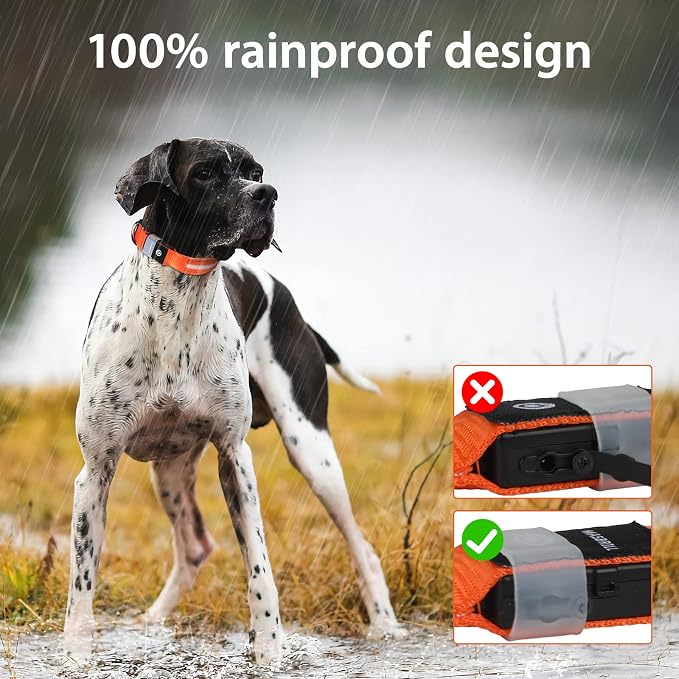 MASBRILL Led Dog Collar, Rechargeable Water-Resistant Flashing Glowing Night Safety Adjustable Illuminated Collar - Image 4