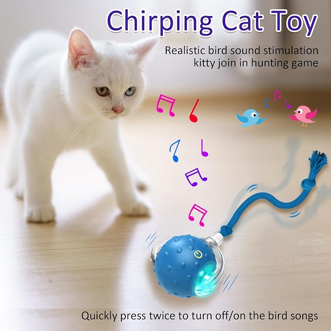 Giociv Interactive Cat Toys Ball for Indoor Cats Fast Rolling on Carpet, Chirping & Motion Activate Cat Toys (Blue) - Image 5