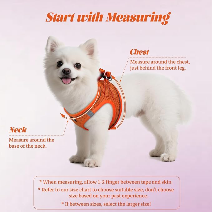 No Pull Dog Puppy Harness and Leash Set Reflective Mesh Vest Large - Image 2