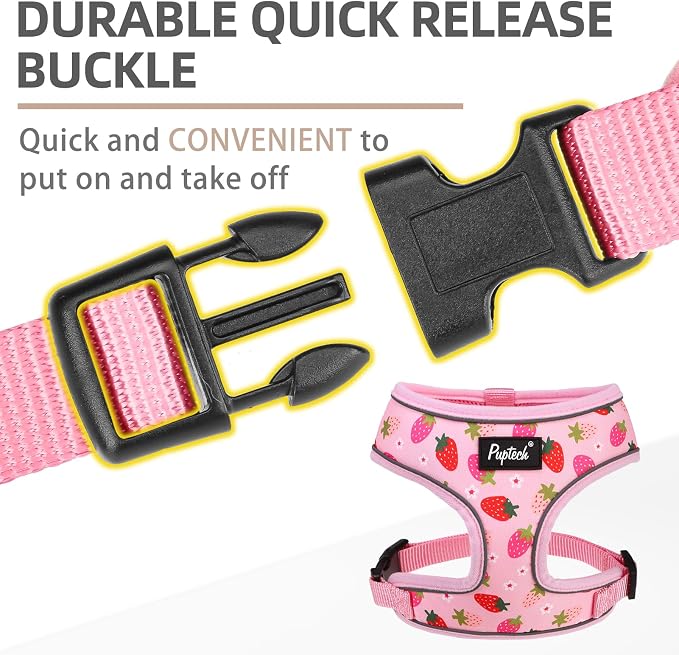 PUPTECK Small Dog Harness and Leash Set No Pull for XS XXS Sized Dogs Puppy | Escape Proof No Choke Pet Cat Adjustable Soft Padded Walking Vest - Image 4