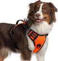 rabbitgoo Large Dog Harness, Easy Wear with 3 Buckles and Lift Handle | No Pull with Front Clip for Walking, Adjustable Soft Padded, Reflective, Easy Control, Orange, X-Large by rabbitgoo
