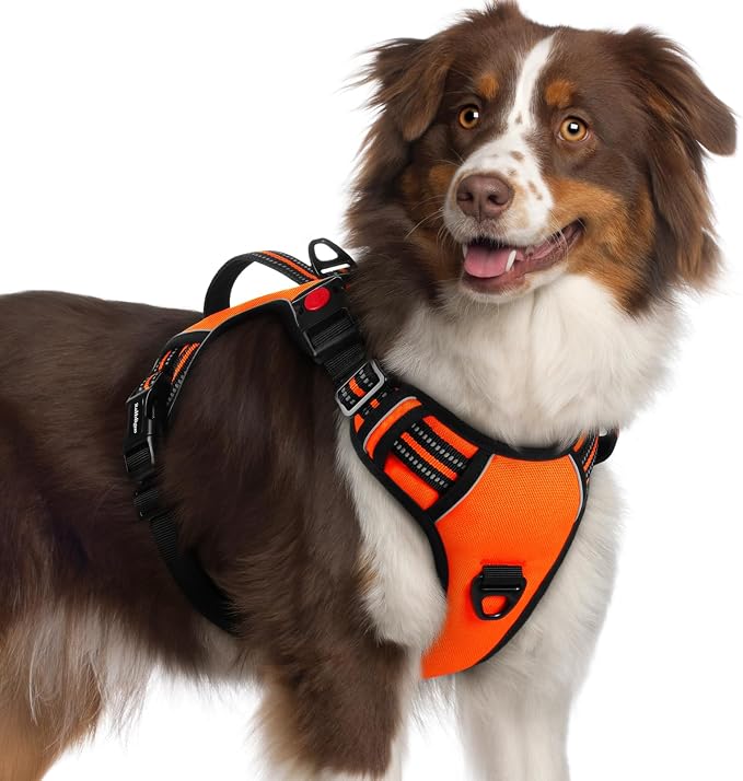 rabbitgoo Large Dog Harness, Easy Wear with 3 Buckles and Lift Handle | No Pull with Front Clip for Walking, Adjustable Soft Padded, Reflective, Easy Control, Orange, X-Large by rabbitgoo