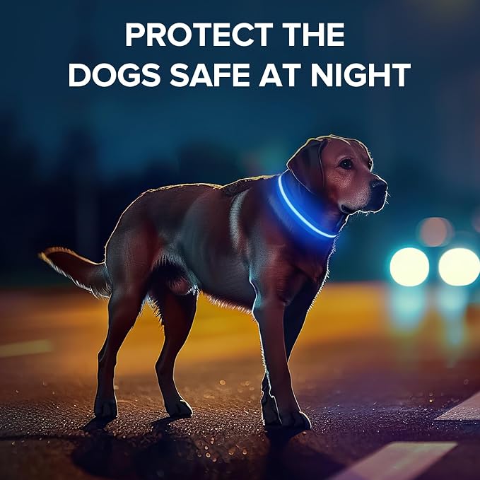 LED Dog Collar, Light Up Dog Collar USB-C Rechargeable Waterproof | 360° Visibility Light Up Dog Collar, Adjustable Nylon Collar with 3 Modes for Small Medium Large Dogs Night Walking Blue L - Image 7