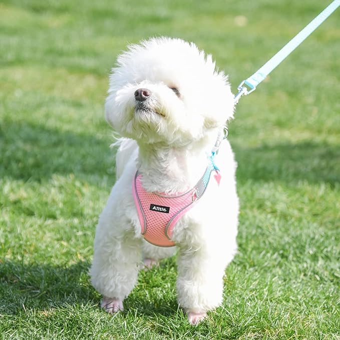 AIITLE Medium Dog Harness and Leash Set, Step-in Puppy Pet Vest, Pink L | Light, Soft, Breathable Air Mesh, Escape-Proof, Easy on and Remove with Hook & Loop, Secure Reflective for Walking - Image 9