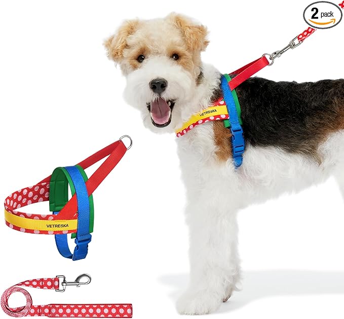 VETRESKA MoMA Dog Harness and Leash Set, No-Pull Puppy Harness (Red, S) | for Walking and Training, Easy Walk Dog Harness for Small Medium Dogs, Adjustable, Take Control & Anti-Twist Pet Lead Combo by VETRESKA
