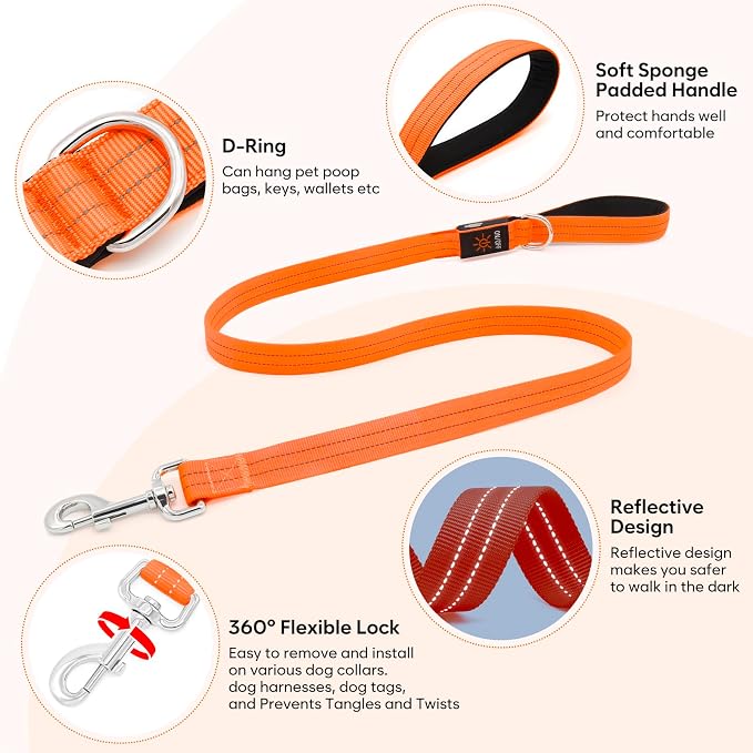 LED Dog Leash, 4 Ft Light Up Dog Leash USB Rechargeable Waterproof, Nylon Reflective Tether with Padded Handle, Safety Glow in The Dark Walking Lead for Large Medium Small Pets(Orange) - Image 7