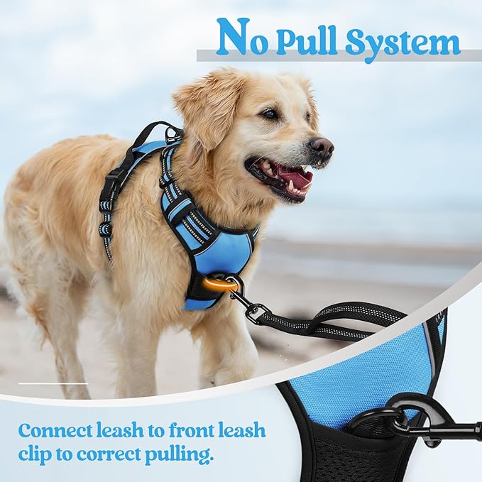 rabbitgoo Dog Harness, No Pull for Large Dogs with 2 Leash Clips, Pet Vest | No Choke with Handle, Adjustable Soft Padded, Reflective, Easy Control for Walking, Blue, X-Large - Image 5