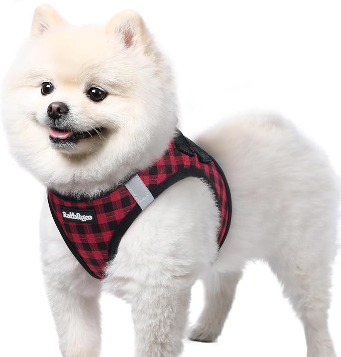rabbitgoo Step-in Small Dog Harness, Puppy Vest for Small Sized Pet | Easy Put on and off, Lightweight, Soft, Breathable Quick-Dry Air Mesh for Comfortable Secure Walking, Red Check S by rabbitgoo