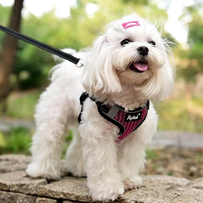 PUPTECK Dog Harness and Leash Set Small Sized, Step in No Pull Adjustable Puppy Cat Harness Reflective Pet Vest - Image 5