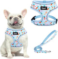 PUPTECK Small Dog Harness and Leash Set No Pull for XS XXS Sized Dogs Puppy | Escape Proof No Choke Pet Cat Adjustable Soft Padded Walking Vest by PUPTECK