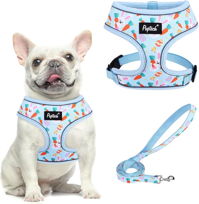 PUPTECK Small Dog Harness and Leash Set No Pull for XS XXS Sized Dogs Puppy | Escape Proof No Choke Pet Cat Adjustable Soft Padded Walking Vest by PUPTECK