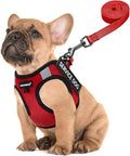 FAYOGOO Service Dog Vest for Small Breed - Lightweight Dog Harness with 6PCS Removable Patches - Puppy Harness and Leash Set for Walking,Training | Lightweight step-in vest with leash and removable identification patches; measure neck and chest before ... by FAYOGOO