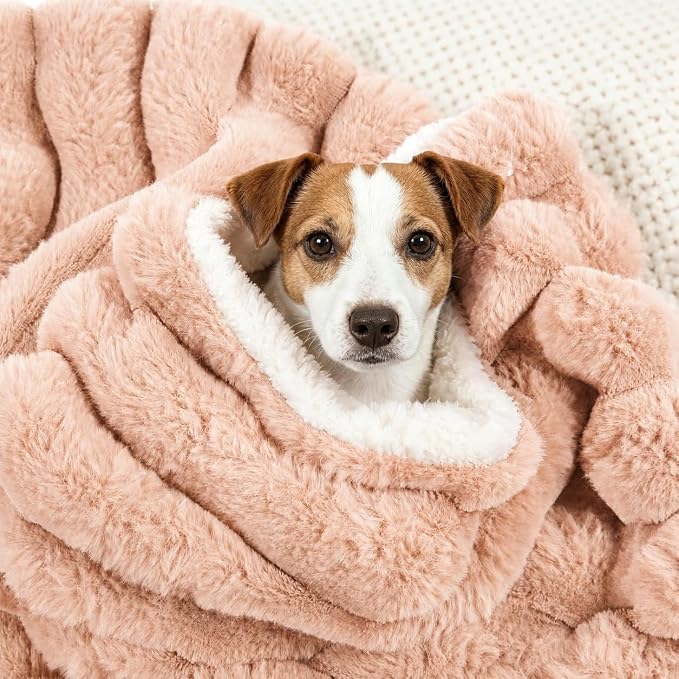 Dog Blanket for Small Dogs, Soft Rabbit Fur Puppy Blanket 25x35 Coffee | Nodarko Double-Sided 600GSM Rabbit Fur & Fleece Dog Blanket, Washable Pet Blanket for Couch, Crate & Car Seat by NODARKO