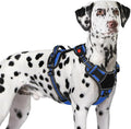 Eagloo Dog Harness No Pull for Large Dogs, Easy On & Off with 3 Buckles | No Choke with Front Clip, Adjustable Fit, MOLLE System, Reflective Vest, Easy Control for Walking, Black & Blue, X-Large by GoExplorewithEagloo
