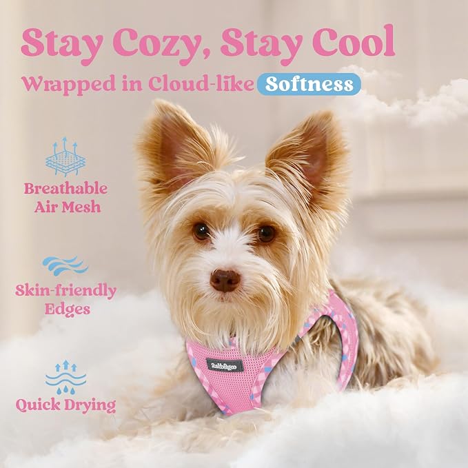 rabbitgoo Step-in Small Dog Harness, Puppy Vest for Small Sized Pet | Easy Put on and off, Lightweight, Soft, Breathable Quick-Dry Air Mesh for Comfortable Secure Walking, Pink & Plaid Trim M - Image 3