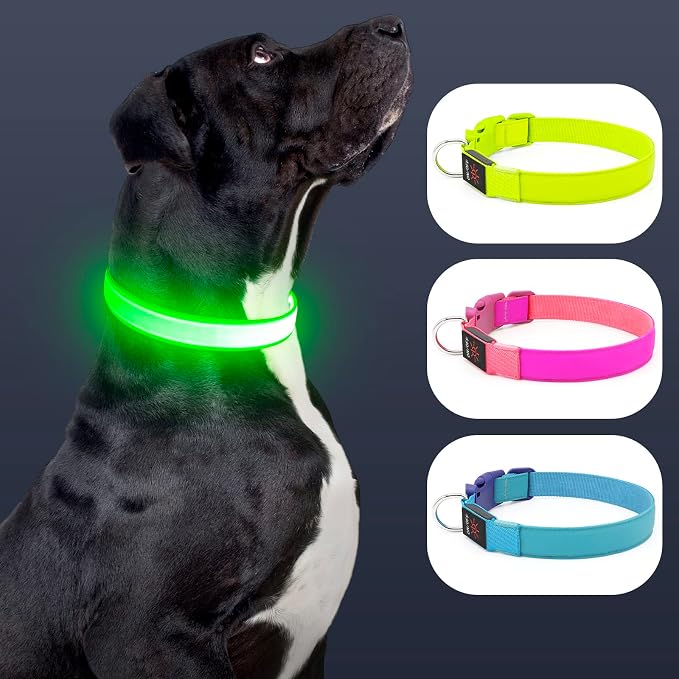 LED Dog Collar Light Up Dog Collars USB Rechargeable, Adjustable Size Heavy Duty TPU Nylon Webbing Glow Safety Basic Dog Collars for Large Medium Dogs (L, Neon Green) - Image 2