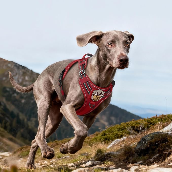 rabbitgoo Tactical Dog Harness for Large Dogs, No Pull Service Pet Vest | Military Molle System & Easy Control Handle, Adjustable and Reflective for Walking and Training, Red, Large - Image 9