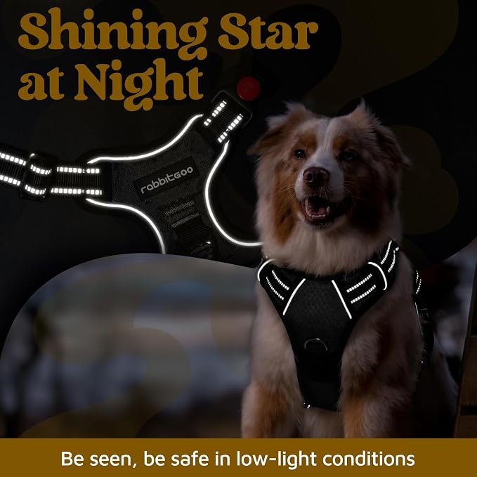 rabbitgoo Dog Harness for Large, No Pull 3 Buckles Easy On & Off | Soft Padded, Walking with Control Handle, Adjustable and Reflective, Black, X-Large - Image 6