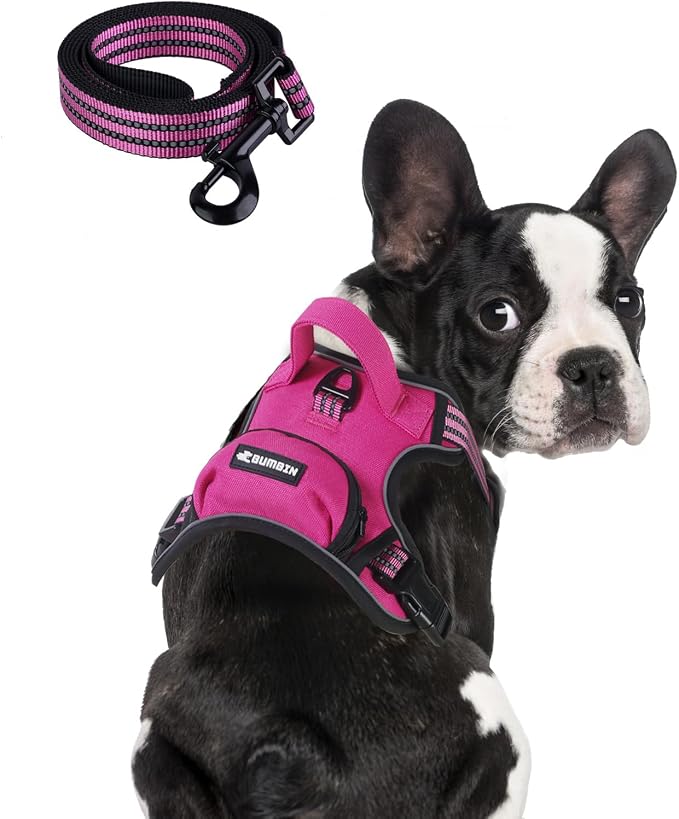 BUMBIN Dog Harness for Large Dogs, No Pull Adjustable No Choke Pet Vest with Dog Leash Fit Smart Reflective Pet Walking Harness for Training Easy Control Soft Handle Rose Red M by BUMBIN