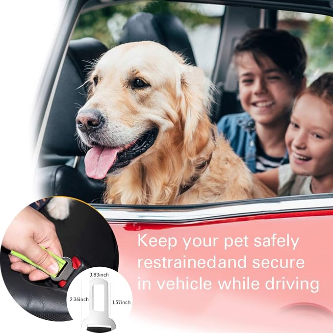 Heavy Duty Bungee Dog Leash with Locking Carabiner for Large Dogs | No Pull Bungee Shock Absorbing, 2 Padded Handles for control, Fits 60-150 lbs Dogs, Seatbelt Buckle, Reflective - Image 6