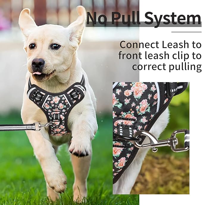 HEELE Dog Harness Harness for Small Dogs No Pull Dog Vest Harness for Small Dog with Soft Padded Handle Reflective for Outdoor Training, Flower-Black, XS | No Choke with Control Handle, Soft Breathable Padded Pet Vest, Adjustable, Reflective Front Clip... - Image 4
