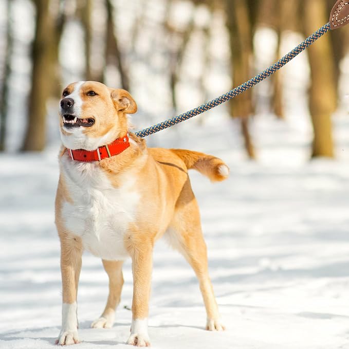Mile High Life Dog Leash with Genuine Leather-Wrapped Ends, 4/5/6FT | Tangle-Free 360° Swivel Clasp Heavy Duty Rope Leash | Small Medium Large Dogs | Daily Walking (Peacock Blue, 48 Inch, 1/2") - Image 5
