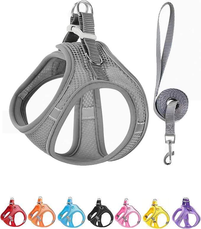 XXS Grey Soft Mesh Dog Harness and Leash Set,No Escape Puppy Harnesses for Training Walking， Reflective Adjustable Puppy Vest for Small Medium Dogs, Cats (Grey, XXS) by Unknown