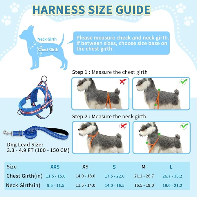 SlowTon No Pull Small Dog Harness and Leash Set with Front Clip | Soft Padded, Neck & Chest Adjustable, Lightweight, Anti-Twist, Puppy Vest Harness Pet Lead Combo for Small Medium Dog, DBL S - Image 5