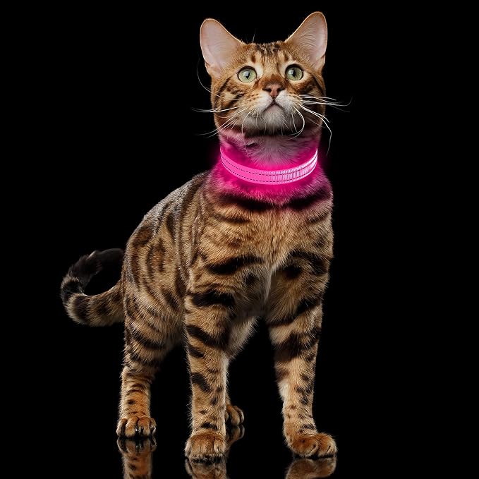 Illumifun LED Dog Collar, USB Rechargeable Light Up Collars, Adjustable Safety Collar Light for Small Dogs Cats Glow in the Dark (Pink, X-Small) - Image 6