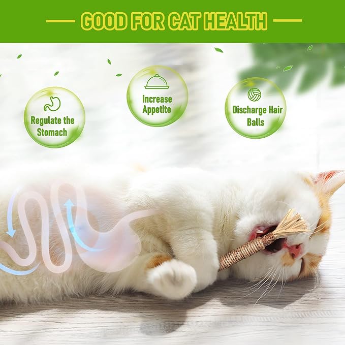 BAWAN Silvervine Sticks Cat Chew Toys for Indoor Cats Dental Care Teeth Cleaning, Natural Kitten & Cat Teething Toys for Health, Cat Chew Stick Suitable for All Breeds of Aggressive Chewers Cat - Image 3