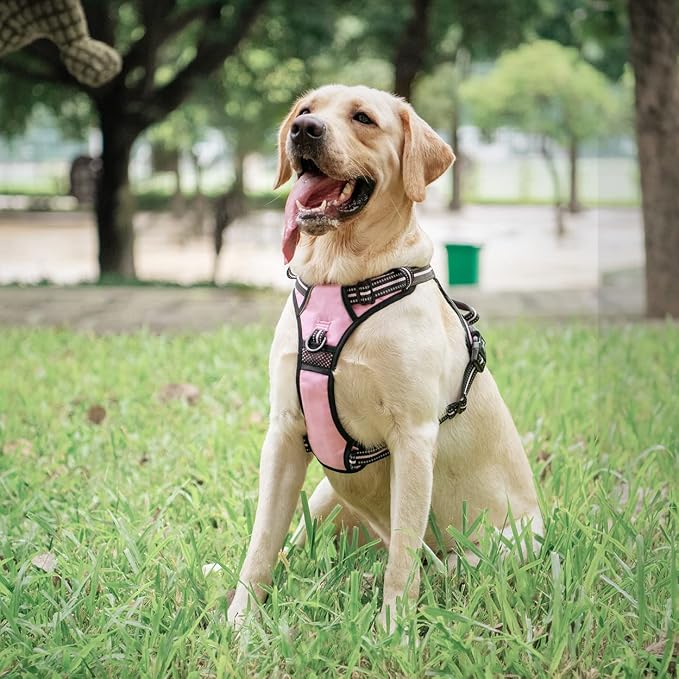 PoyPet Dog Harness Small, No Pull Vest with Front/Back Clip & Neck Buckle | No Choke, Lockable, Reflective, 2 Lead Rings, Adjustable, Soft Padded Handle for Training Walking, S, Light Pink - Image 3