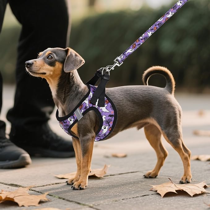 KOOLTAIL Halloween Dog Harness and Leash Set for Small Medium Dogs, Step in No Pull Soft Mesh Harness Comfort Padded Pet Vest, Adjustable Reflective Easy Walking Puppy Cats Harness Training, Ghost S - Image 6