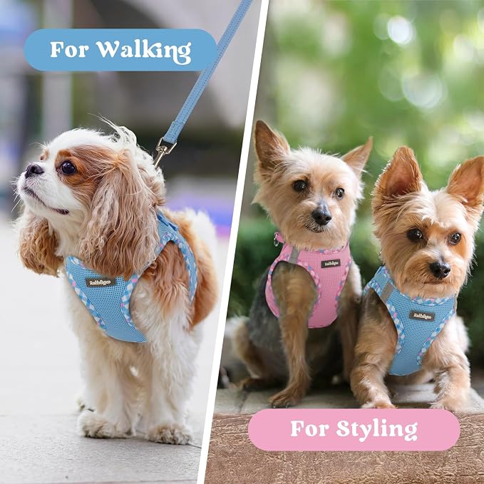 rabbitgoo Step-in Small Dog Harness, Puppy Vest for Small Sized Pet | Easy Put on and off, Lightweight, Soft, Breathable Quick-Dry Air Mesh for Comfortable Secure Walking, Blue & Plaid Trim XXS - Image 9