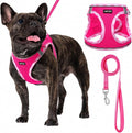 AMTOR Small Dog Harness with Leash Set, No Escape Easy Walk Puppy Harnesses for Training Walking, Step-in Reflective Soft Dogs Vest for XS S Medium Extra-Small Large Sized Dog(Fuchsia,XS) by AMTOR