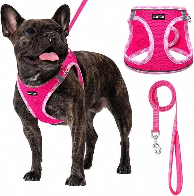 AMTOR Small Dog Harness with Leash Set, No Escape Easy Walk Puppy Harnesses for Training Walking, Step-in Reflective Soft Dogs Vest for XS S Medium Extra-Small Large Sized Dog(Fuchsia,XS) by AMTOR