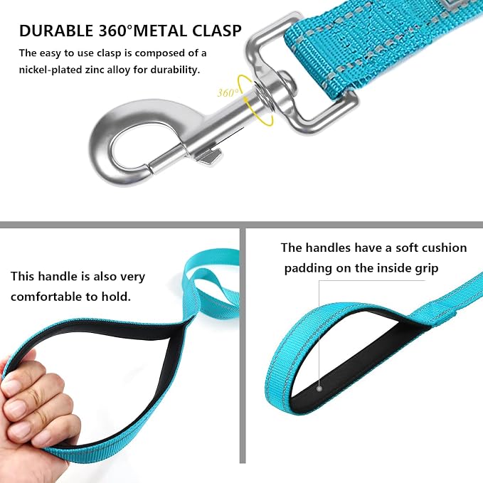6 FT Basic Dog Leash for Large Dogs,Sky Blue | Padded Handle,Metal D-Ring,Heavy Duty Nylon Webbing, for Walking & Training - Image 4