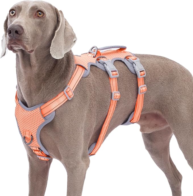 Escape Proof Dog Harness, No Pull Reflective Harness with Lift Handle, Adjustable Pet Vest with Front and Back Leash Clips for Small Medium Large Dogs Walking Hiking Training (Orange,XL) by Huntboo