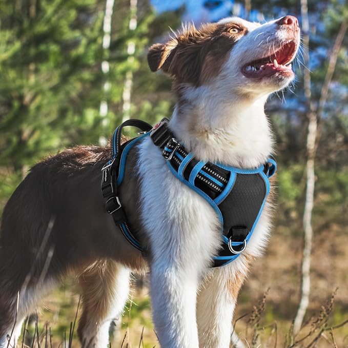 rabbitgoo Dog Harness Medium Sized, No Pull 3 Buckles Easy On & Off | Soft Padded, Walking with Control Handle, Adjustable and Reflective, Black & Blue, Medium - Image 8