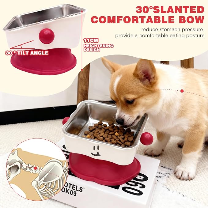 Elevated Cat & Small Dog Bowl - 30° Slanted Anti-Slip Feeding Bowl, Detachable Stainless Steel Design, Reduces Stomach Pressure, Comfortable Eating Posture, Easy to Clean, Fits Cats & Small Breeds - Image 2