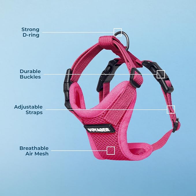 Voyager Step-in Lock Dog Harness - Fuchsia, Medium | 17-21" in Chest, Adjustable, Breathable Air Mesh, Lightweight for Daily Walks, Strong Clips, Heavy Duty D-Ring - Image 4