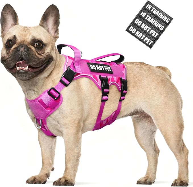 WINSEE Escape Proof Dog Harness with Double Handle+4 Removable Patches | Service Working Molle Harness with Double Handle for Medium Dogs, Tactical Pet Reflective Vest for Walking Hiking Hunting by WINSEE